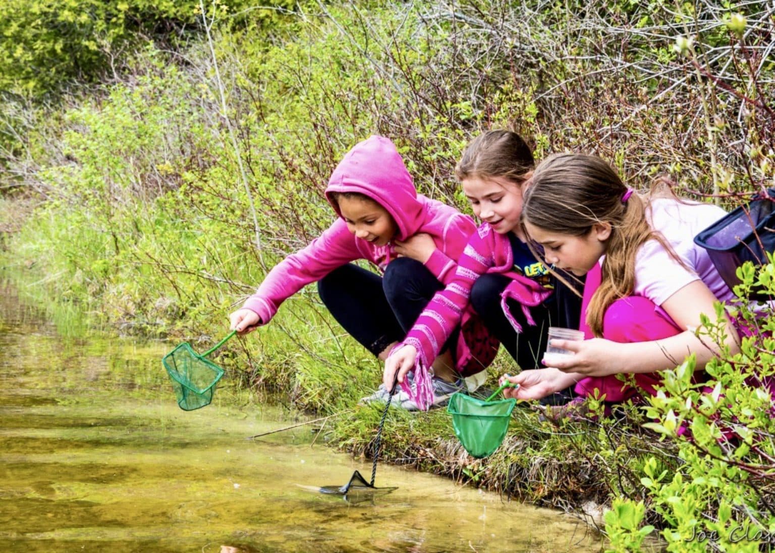 Seasonal Programs Northern Michigan Land Trust Little Traverse
