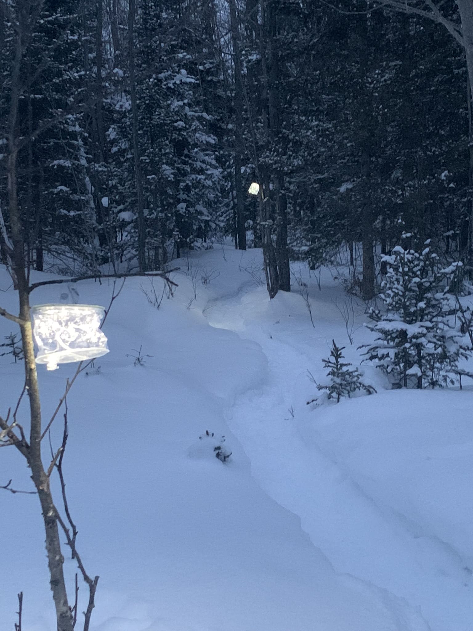 SNOWSHOE AND BREW AT BIERS INWOOD BREWERY Little Traverse Conservancy