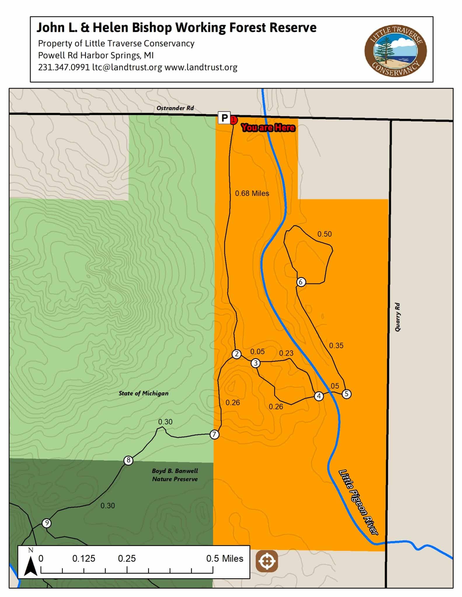 L. John and Helen Working Forest Reserve Northern Michigan