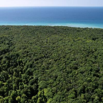 Aerial Image