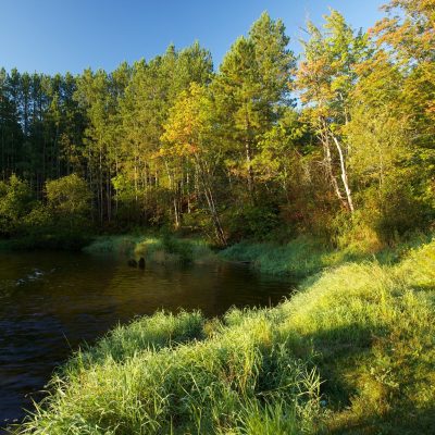 Images from an assignment to document various land protection projects on behalf of the Little Traverse Conservancy.