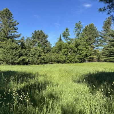Rentschler Family Nature Preserve 1